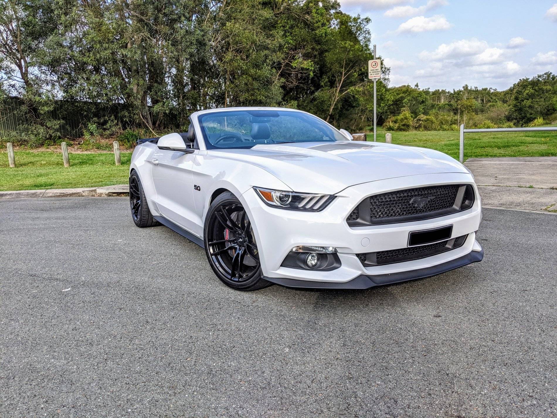 Front view.jpg
