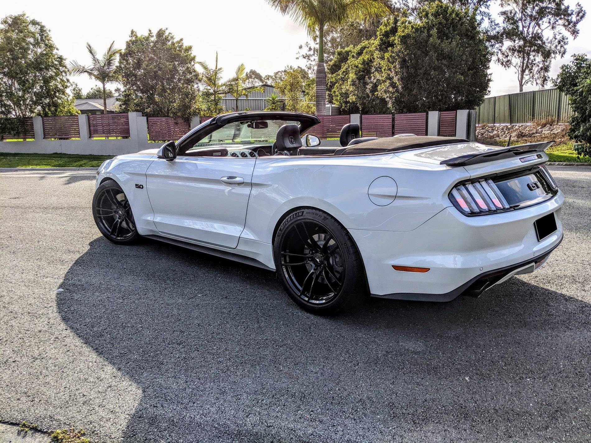 Rear view.jpg