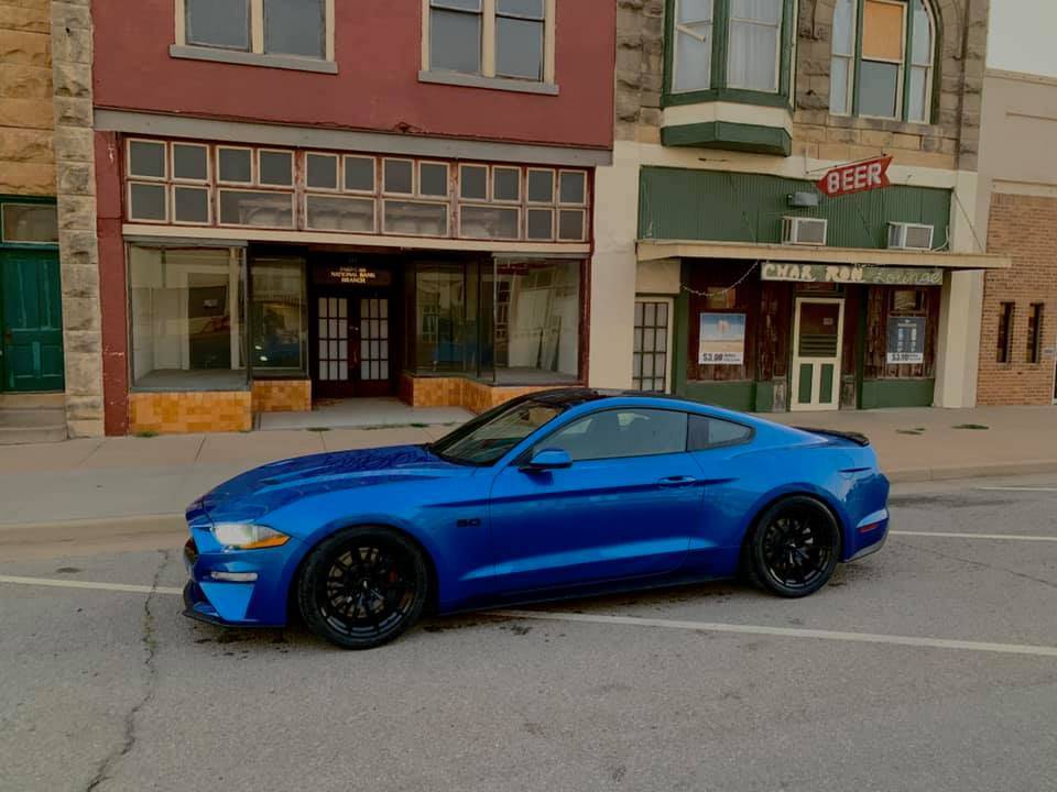 CAR.jpg