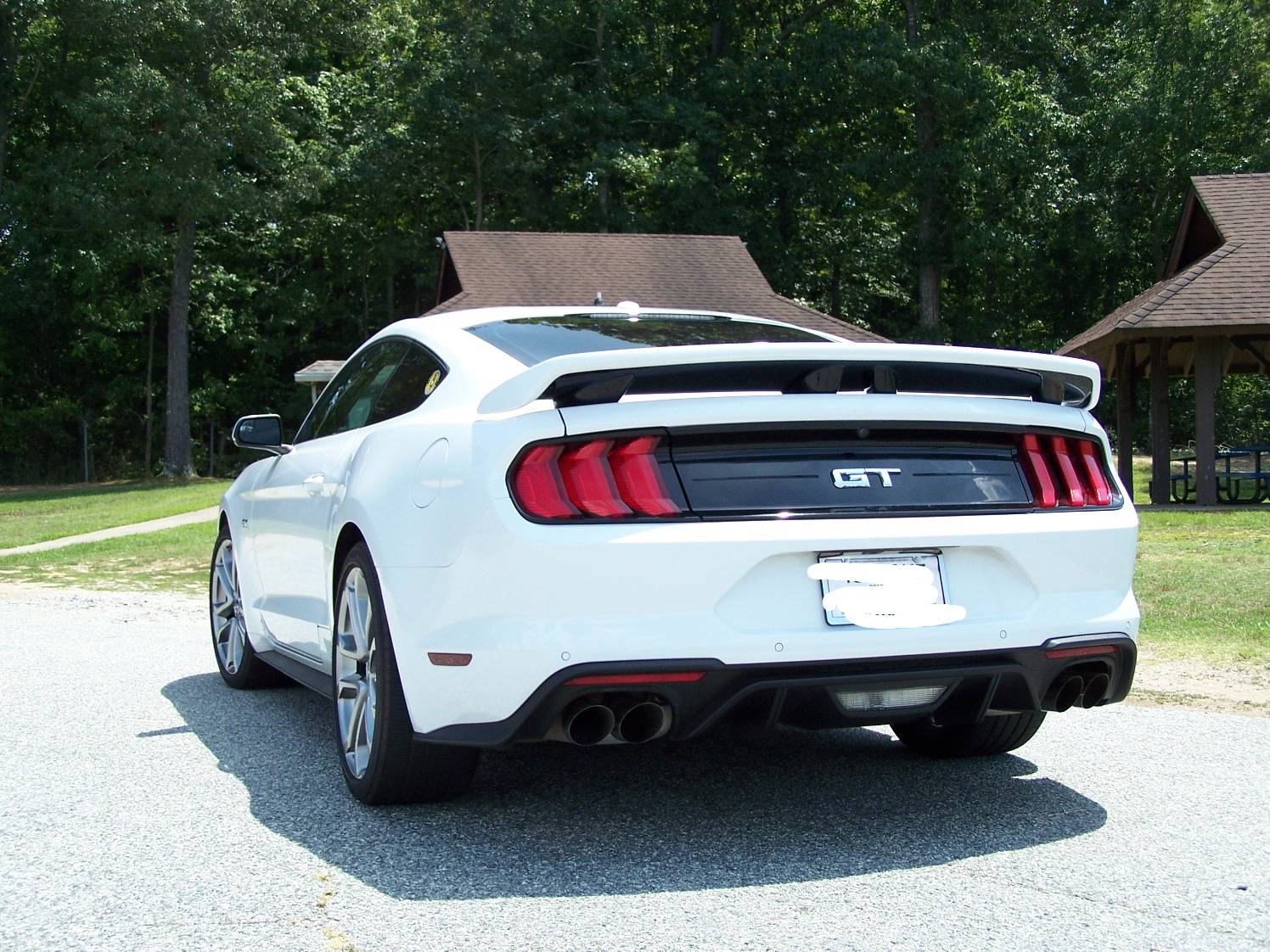 Mustang 4.JPG