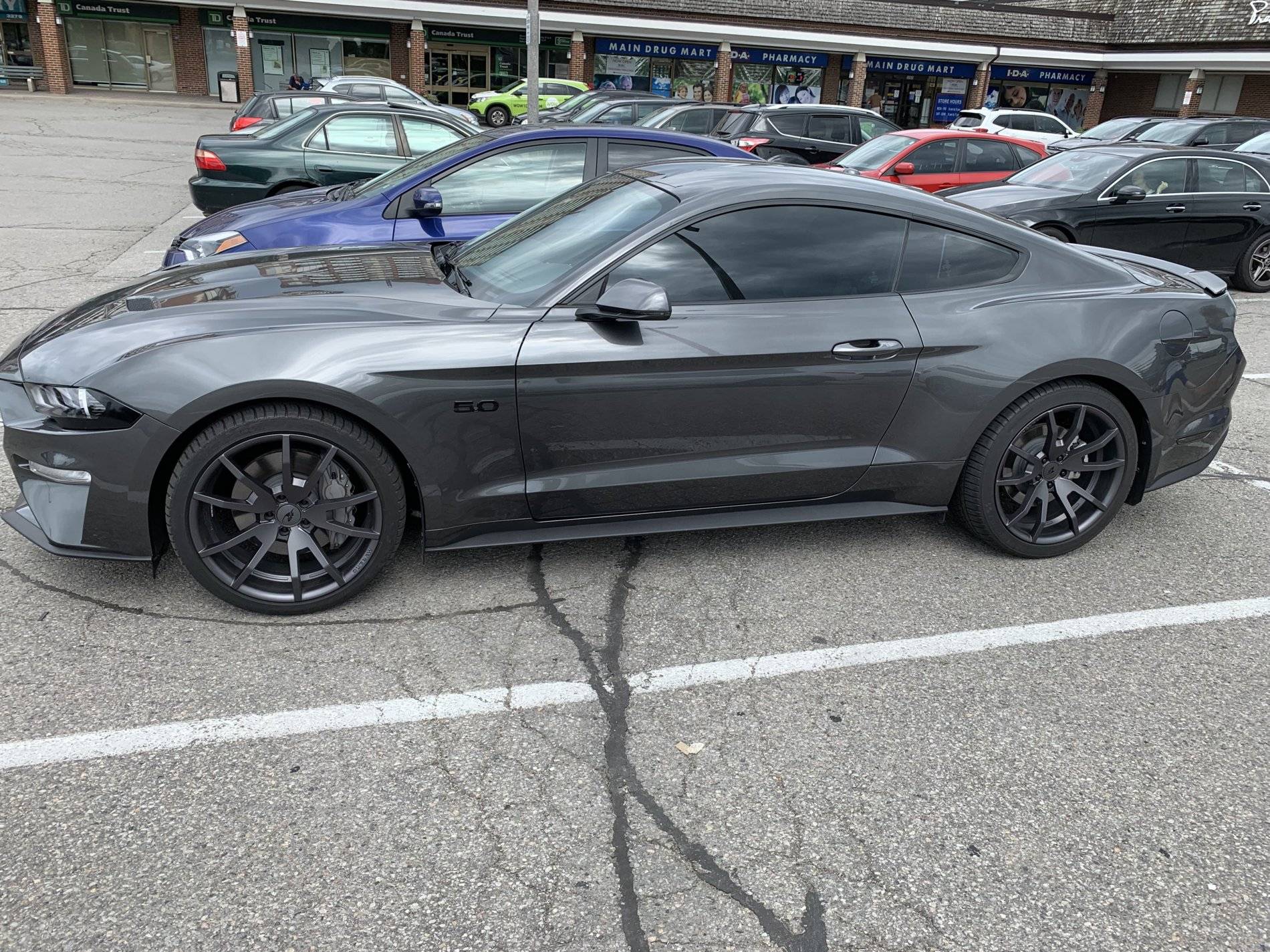 IMG_0084.jpg