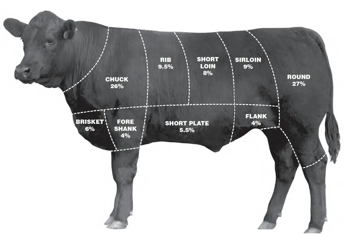 Cow.webp