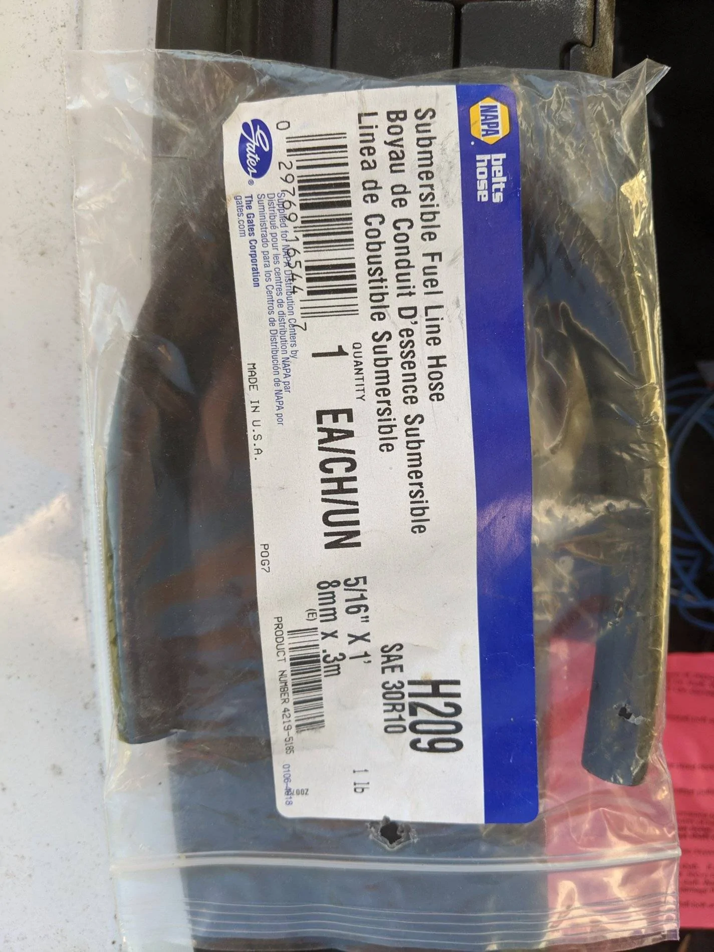 IMG_20191028_094219.webp