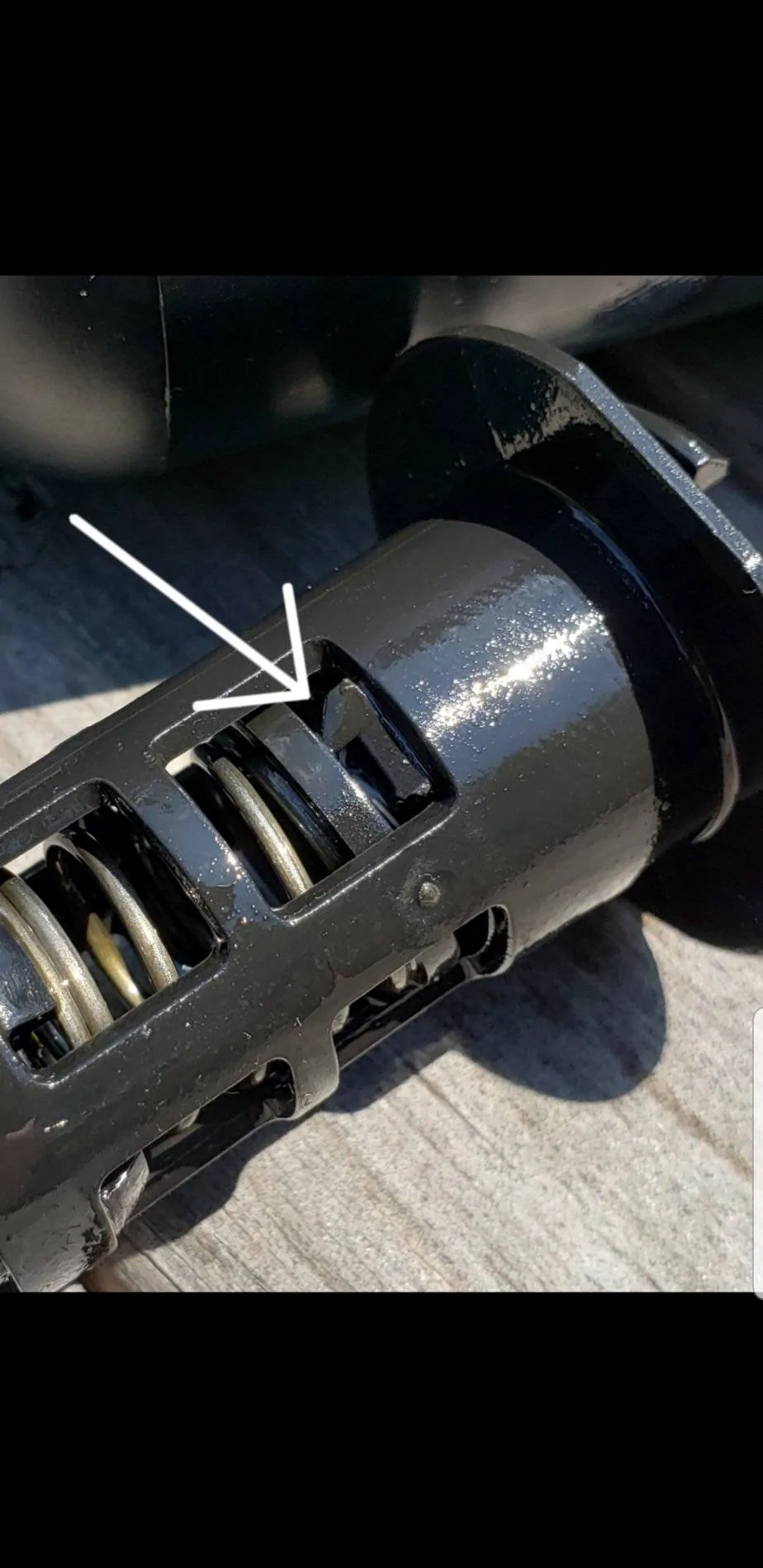 GT350 oil.webp