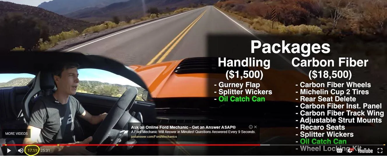 vid1.webp