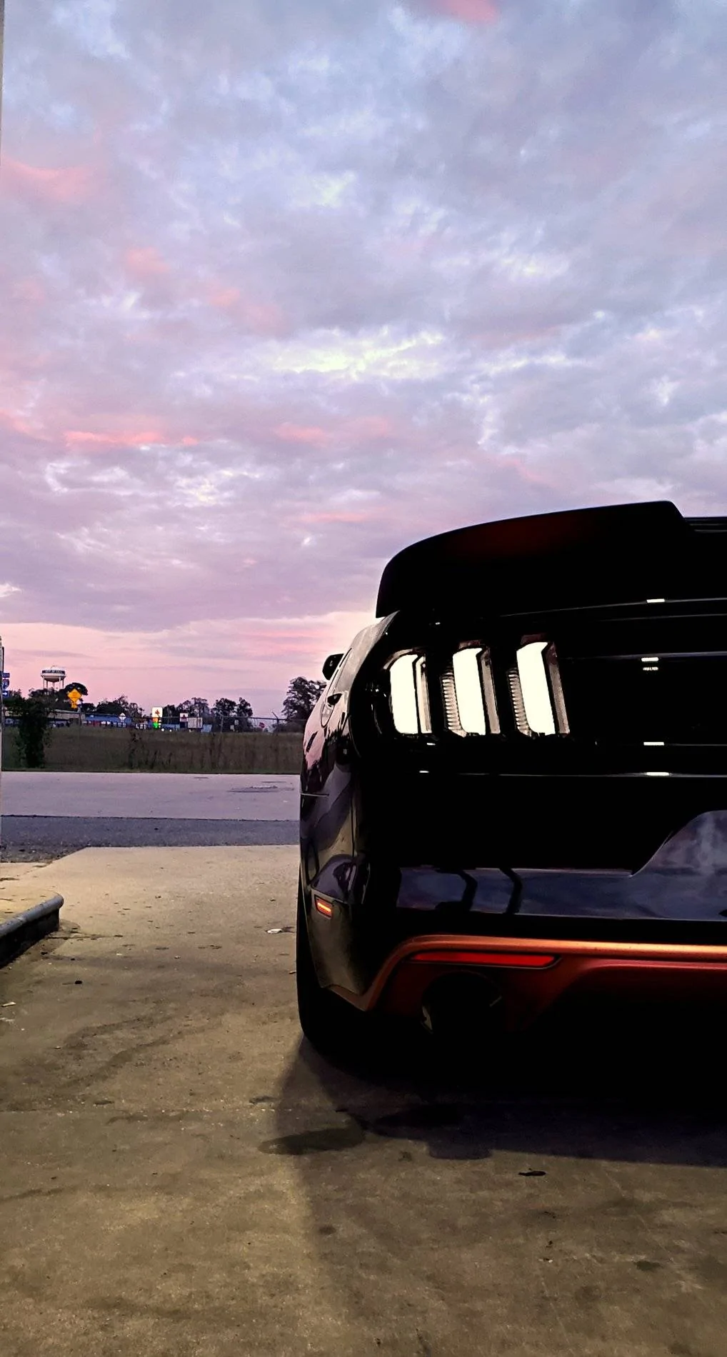 mustang1.webp