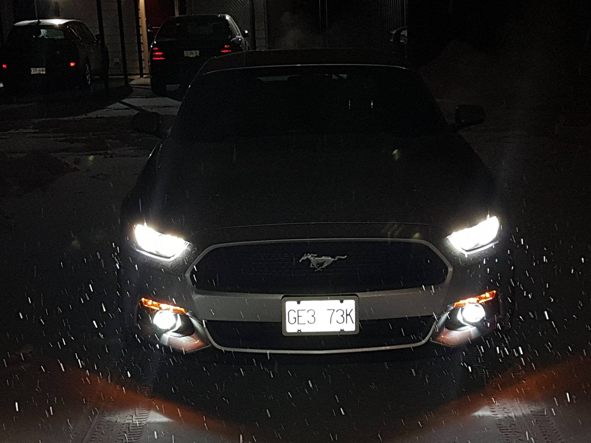 20190211_202413.jpg