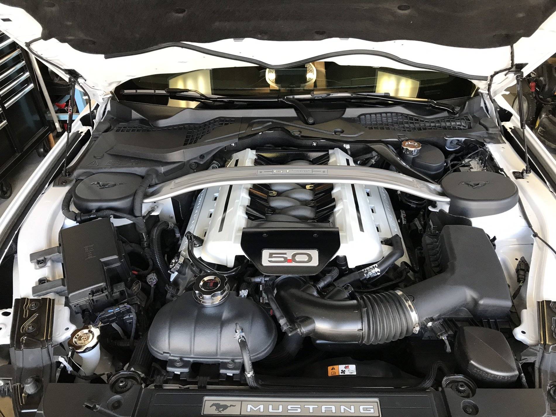 0526822B-6308-4EDB-A413-0973B132DD1D.jpeg
