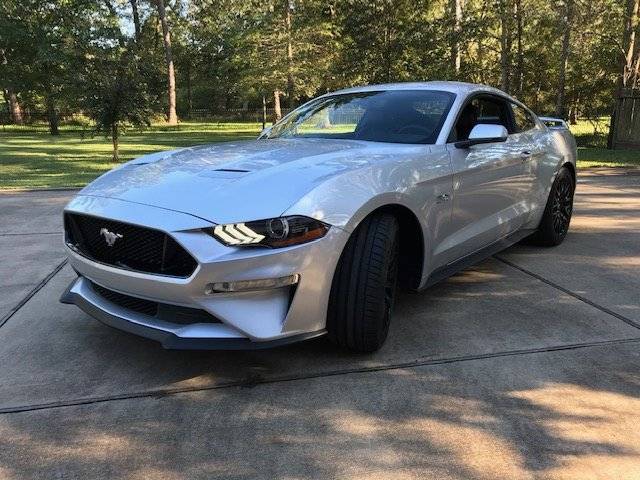 Mustang 7.jpg