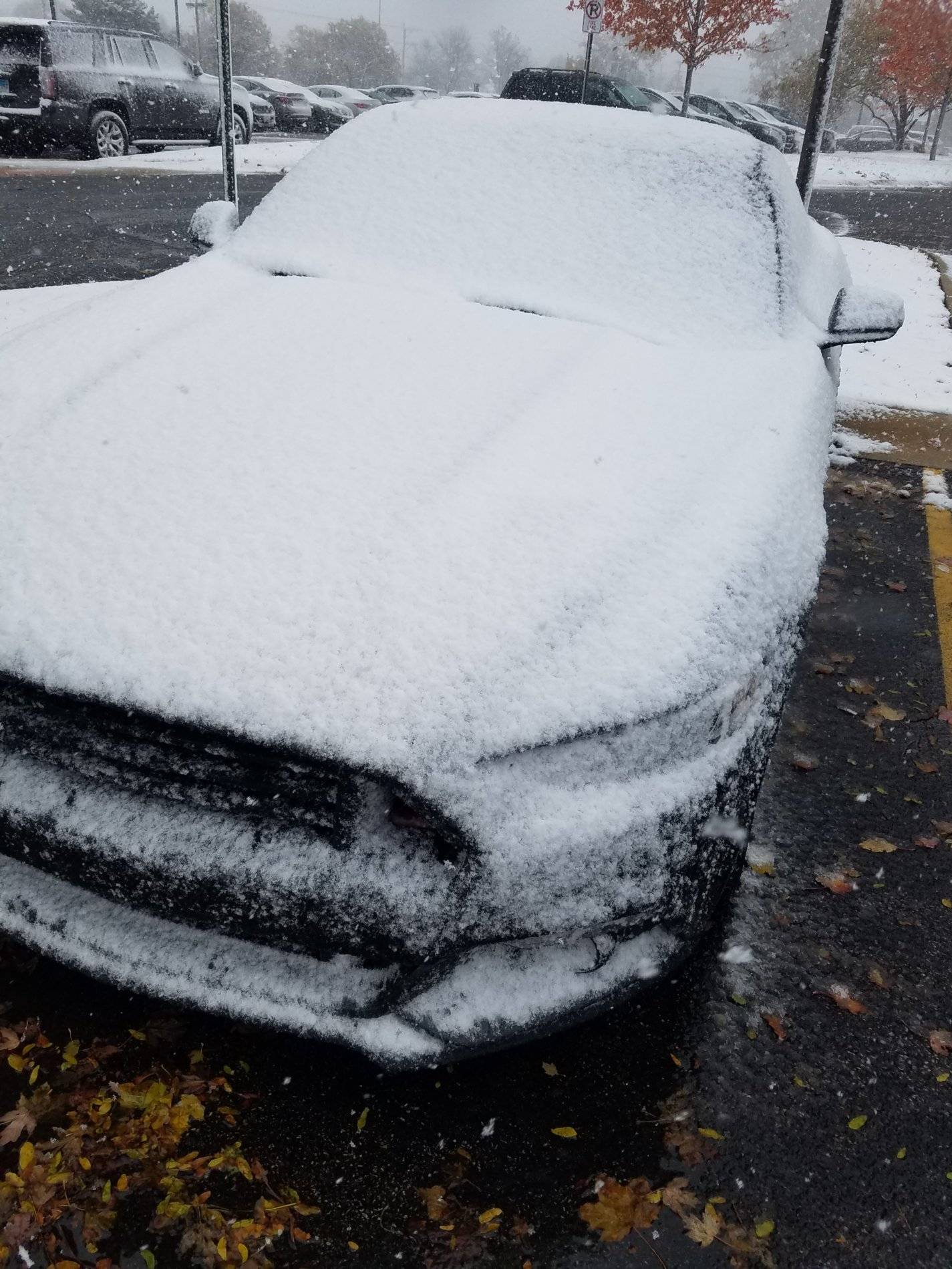 20191031_140226.jpg