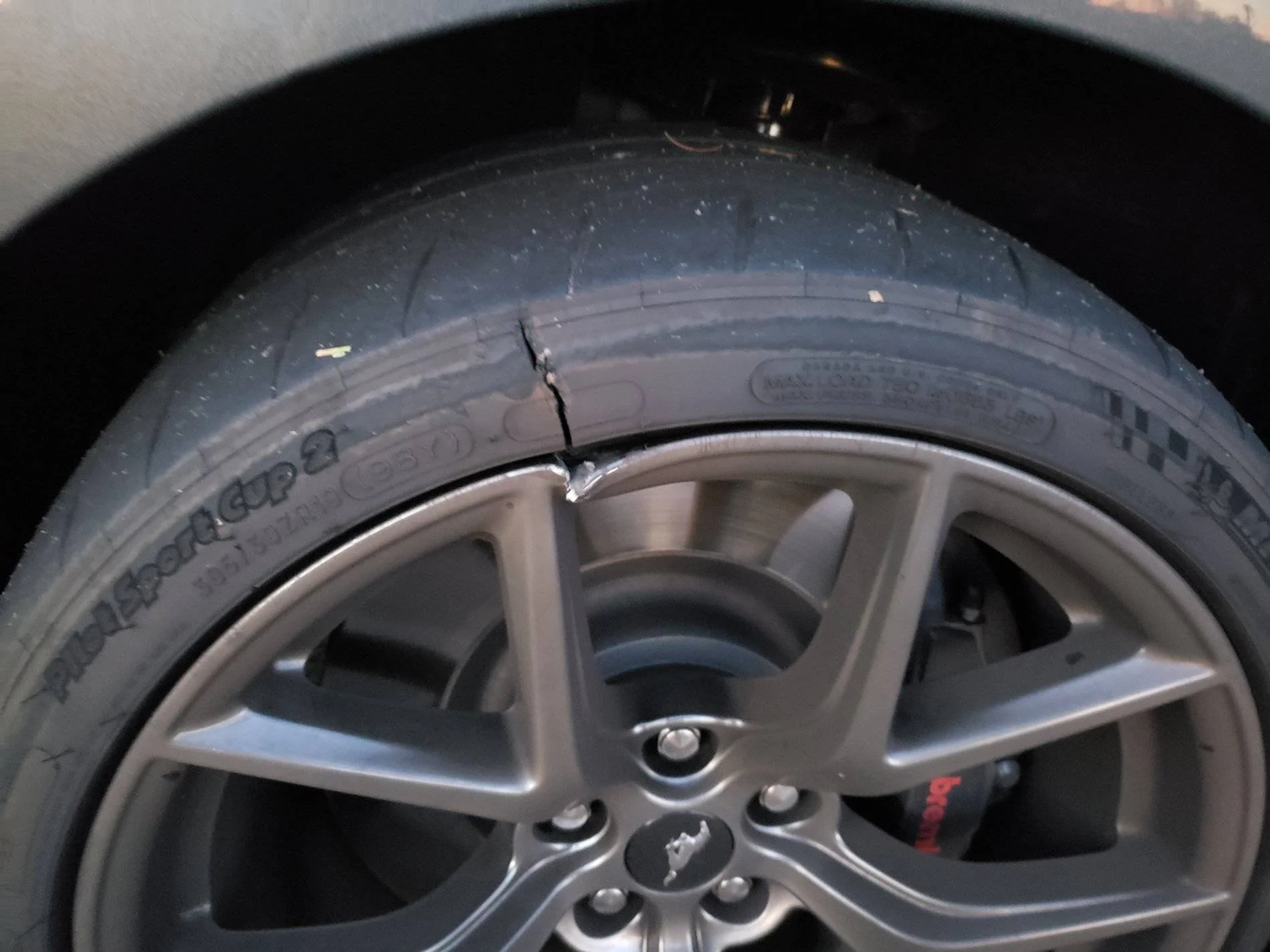 20191101_070741.webp