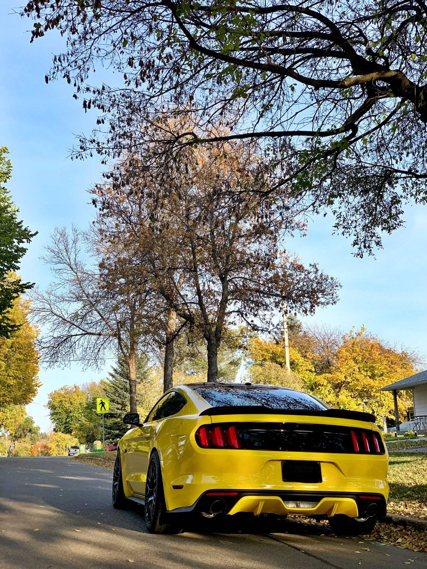 04BA72AE-45D4-43C7-A02E-AB3A3C16F976.jpeg