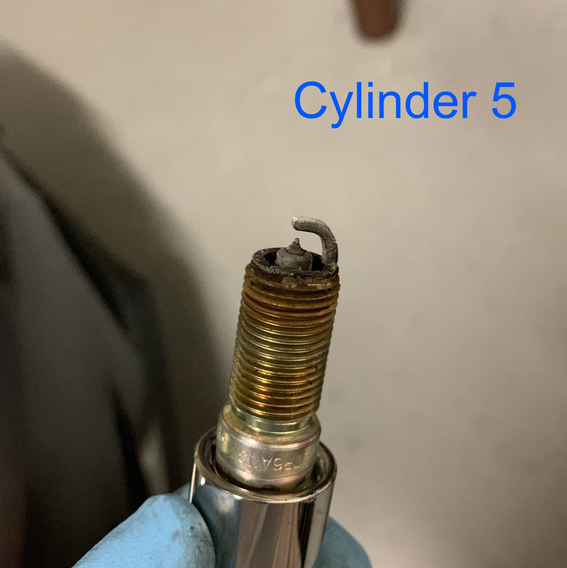 Cylinder 5.jpg
