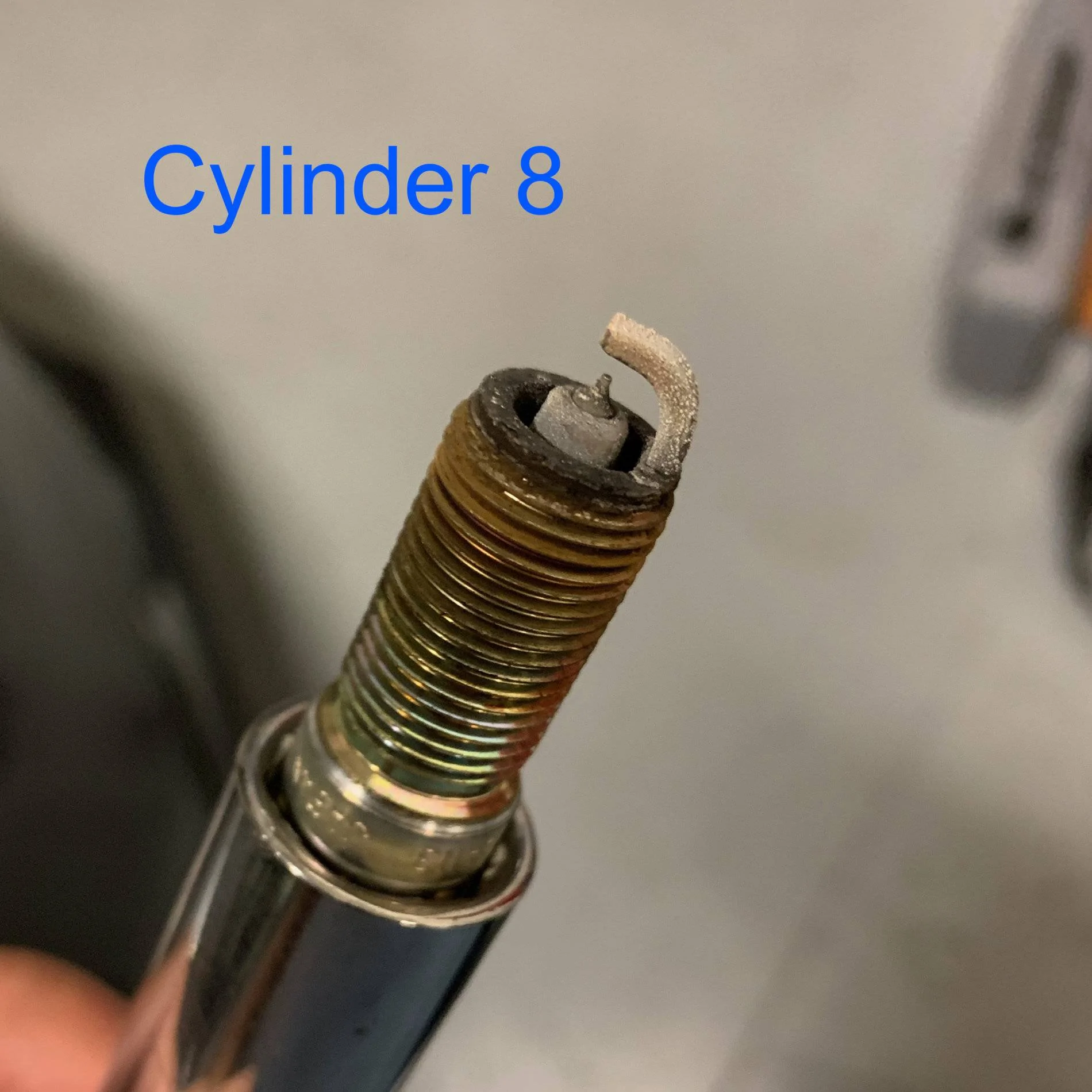 Cylinder 8.webp