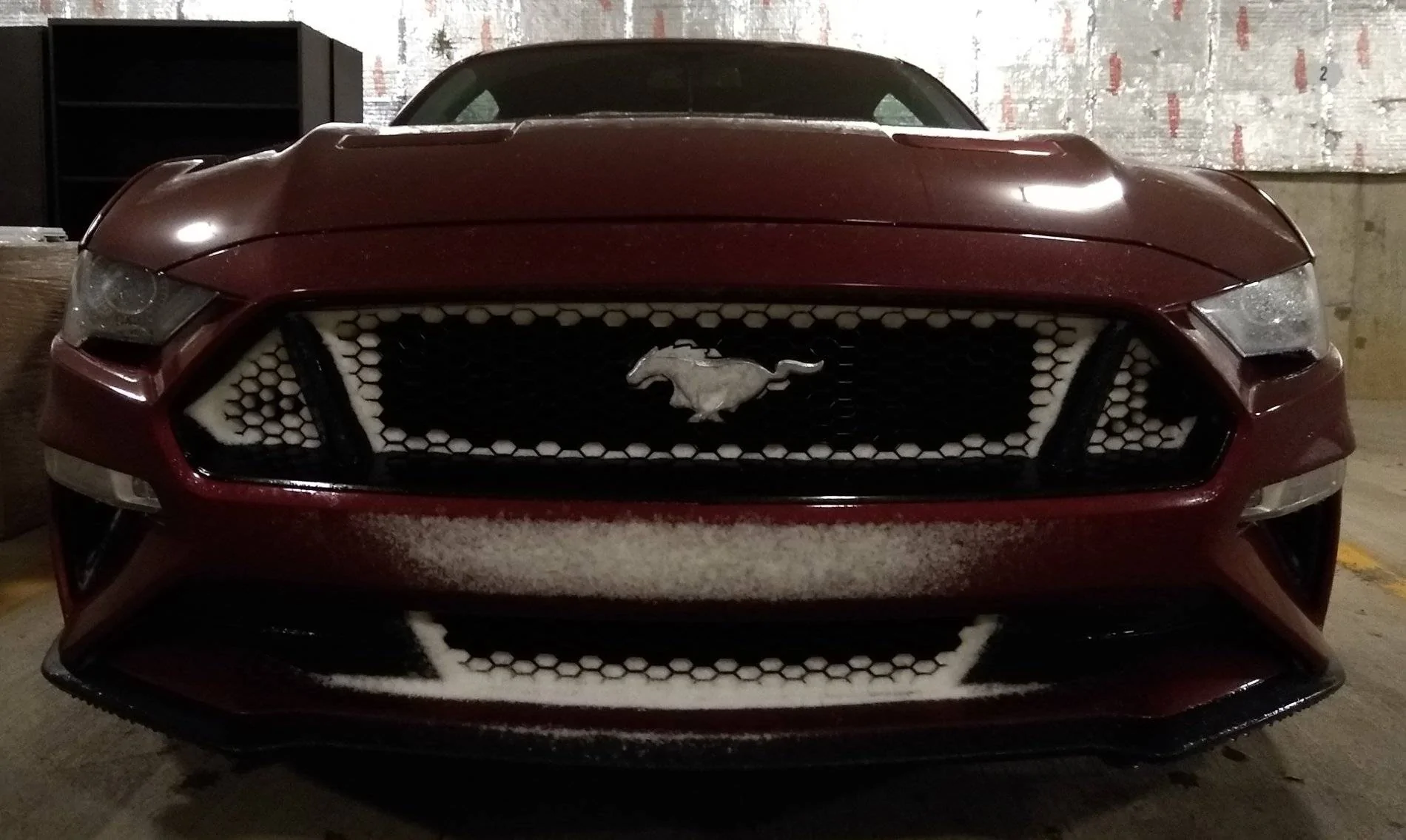 SnowPony1.webp
