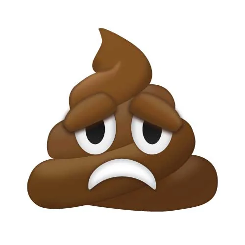SadPoopEmoji.webp