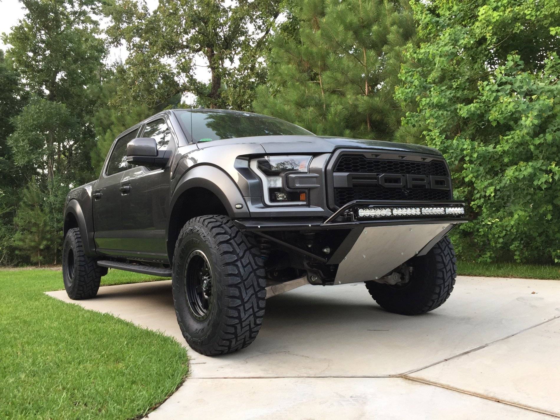 Raptor 2018 RF2.jpg