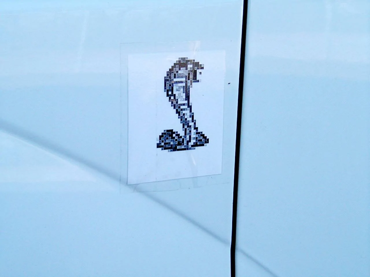 Snake .webp
