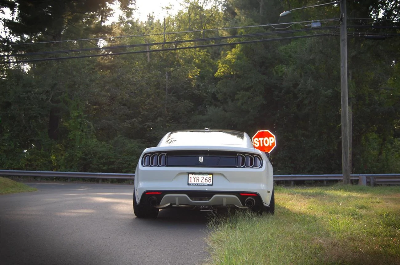 Mustang No Spoiler.webp
