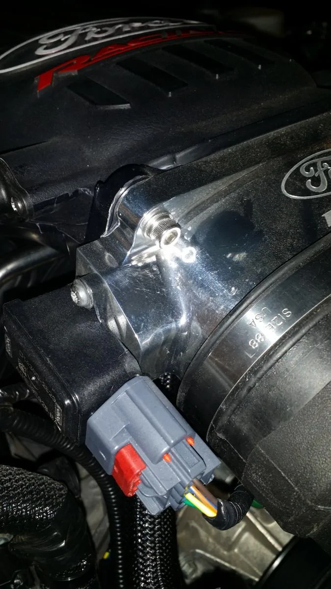 T body bolt 4.webp
