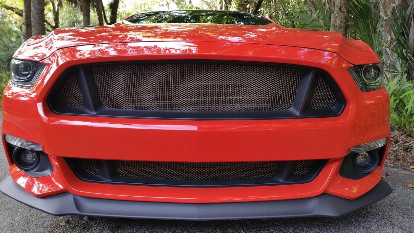 fef.jpg