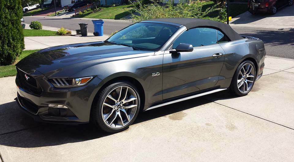 Mustang.jpg