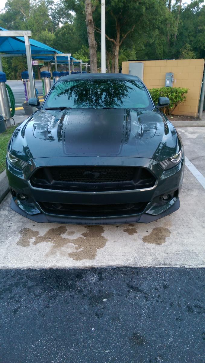 IMAG0451.jpg