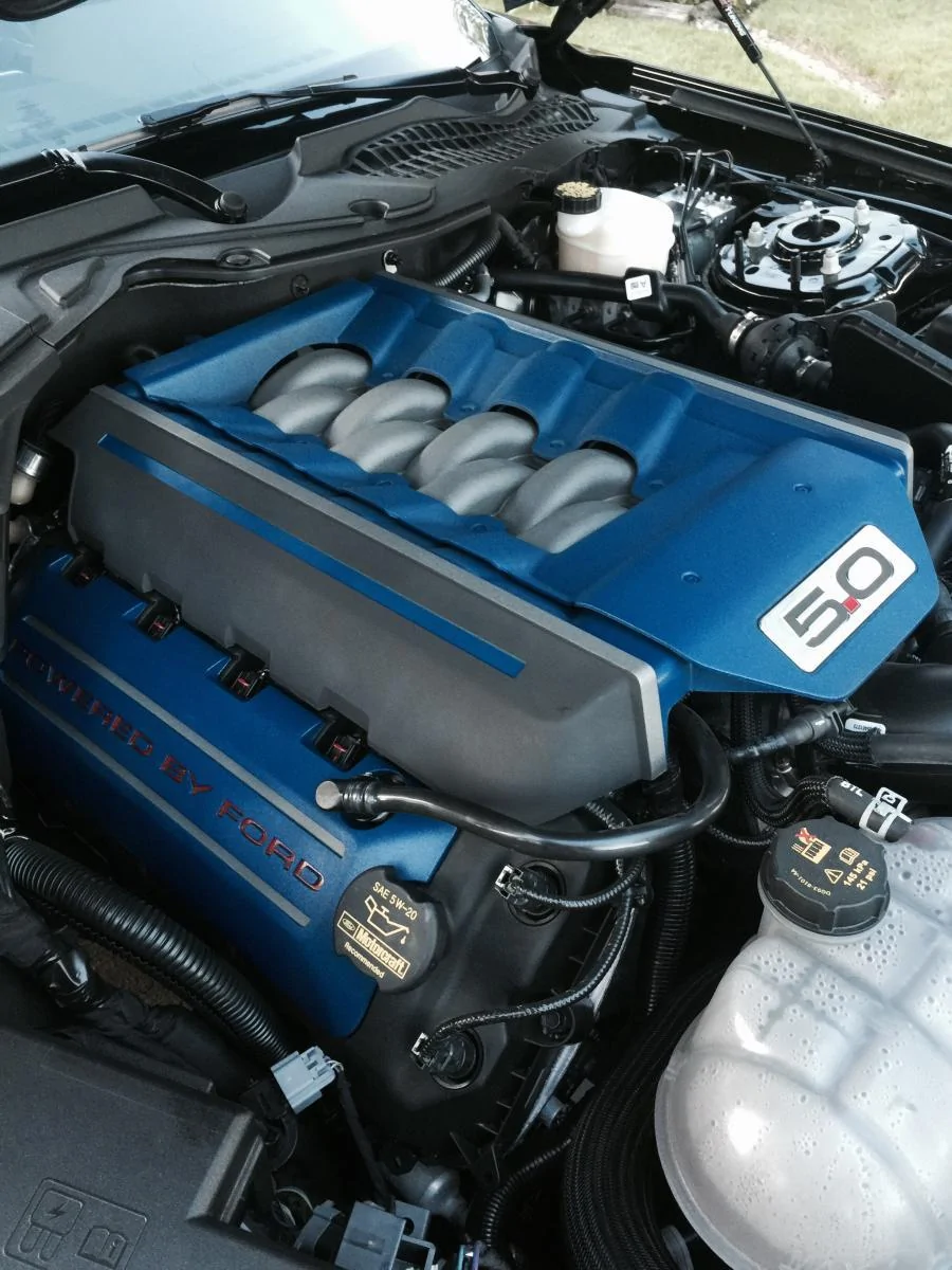 image.webp