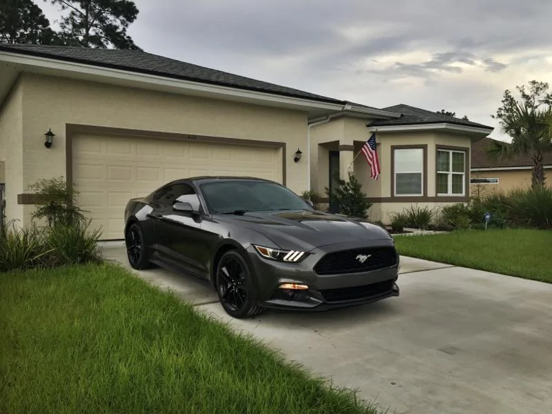 Mustang.webp