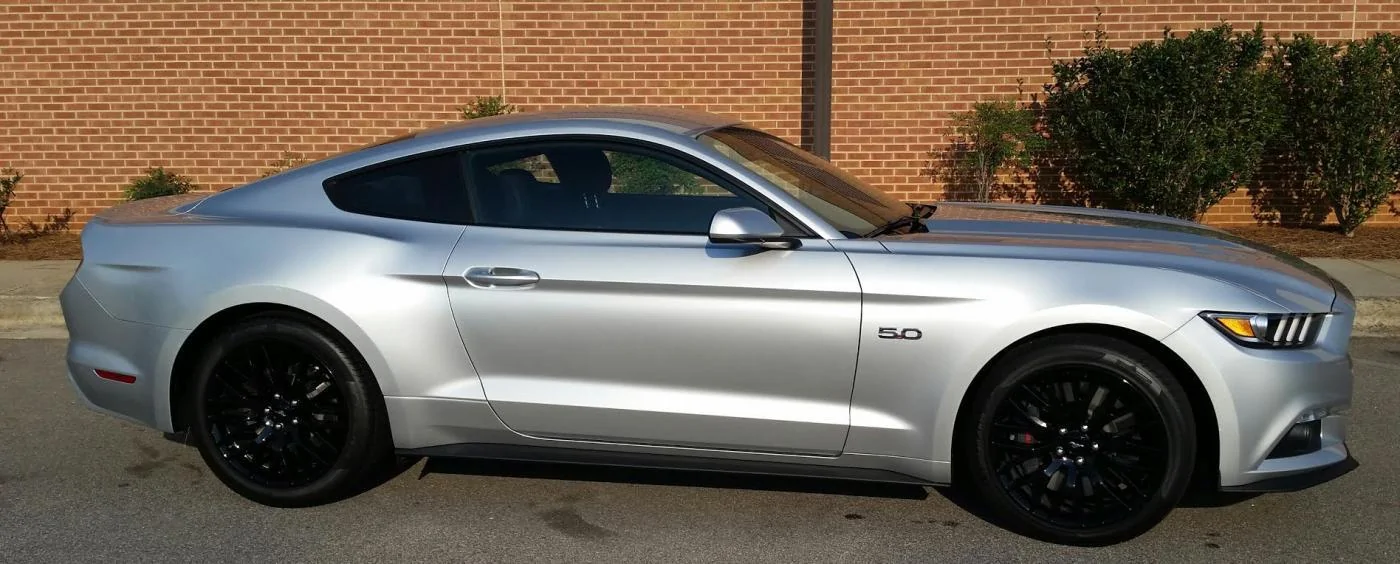 mustang3.webp