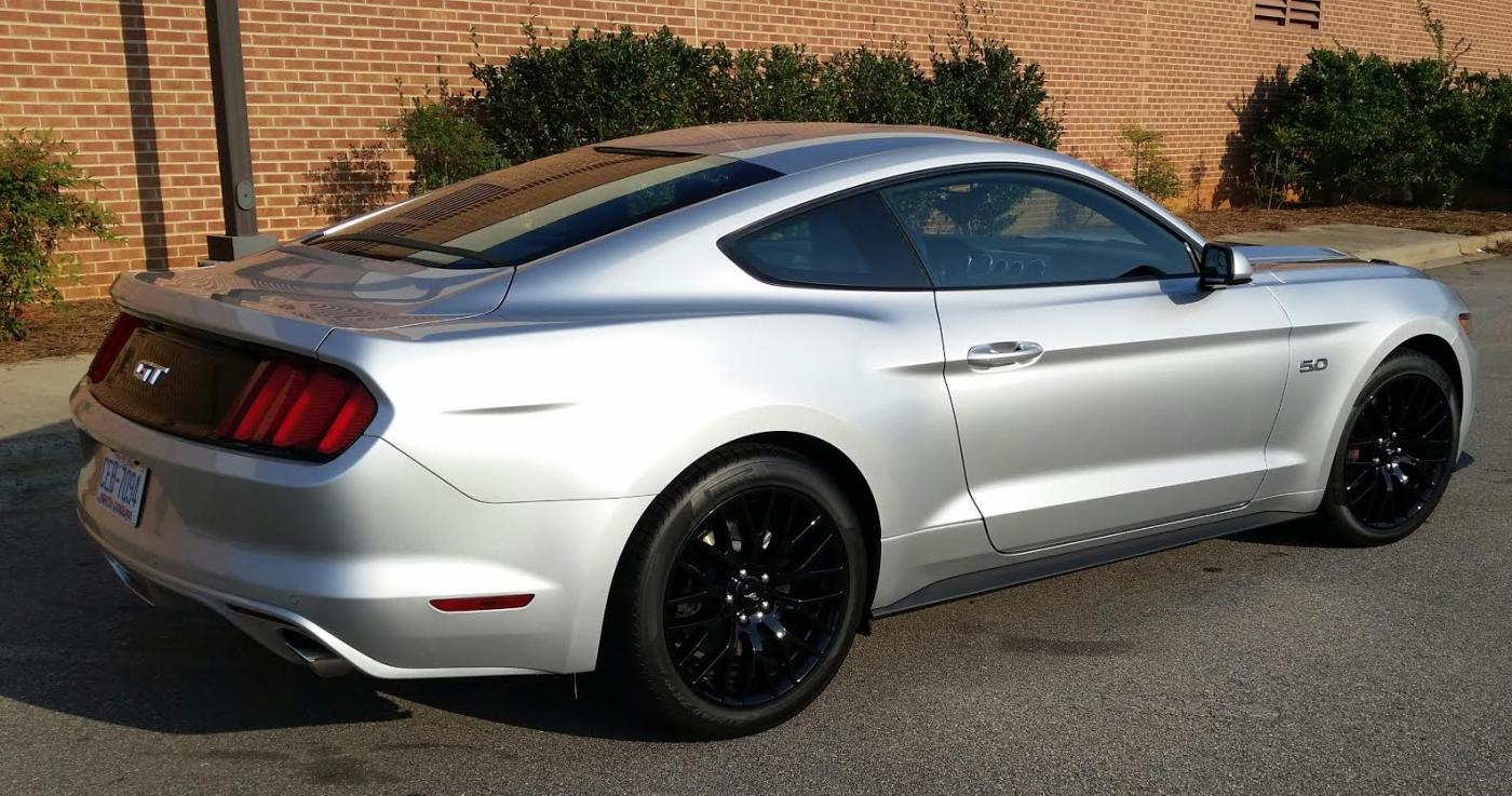 mustang4.jpg