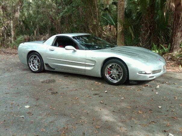 silverz06.jpg