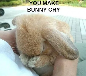 you-make-bunny-cry.webp