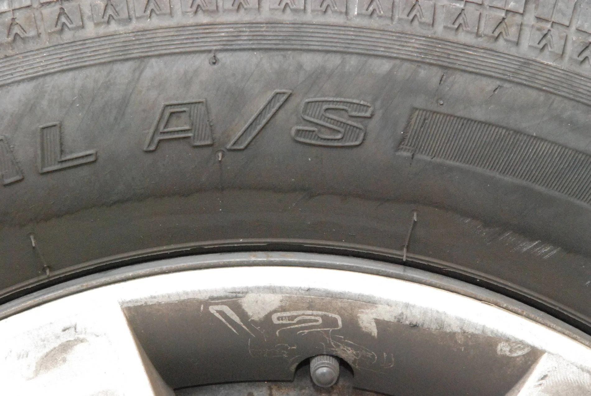 DSC_0078.webp