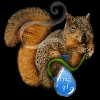 High Squirrel.webp