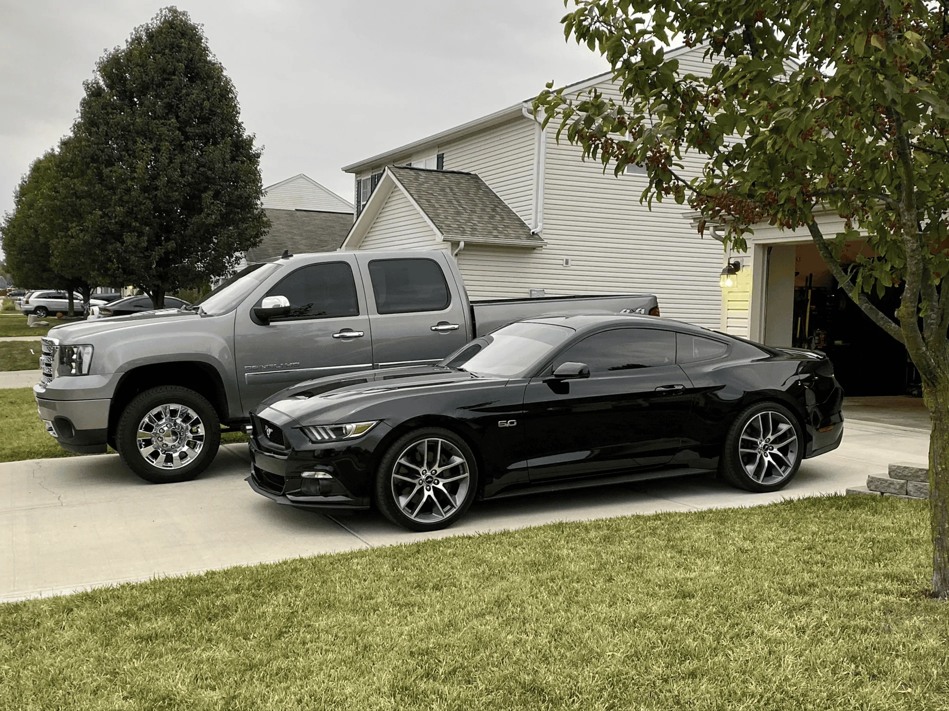 17 Stang.webp