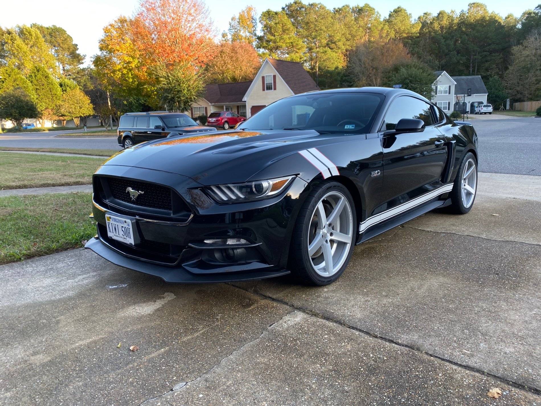 Mustang16.jpg