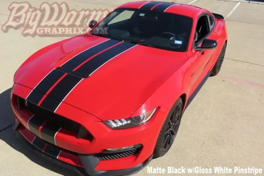 black stripe.webp