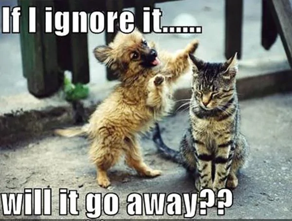 if-i-ignore-it-will-it-go-away-quote-1.webp