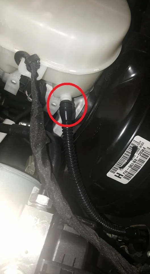 Clutch Line In Place.webp