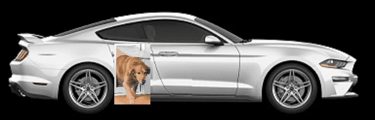 My Doggie-Door Mustang.webp