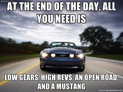 8c5a54a4646c9f82c4b0798109cae13b--mustang-quotes-mustang-humor.webp