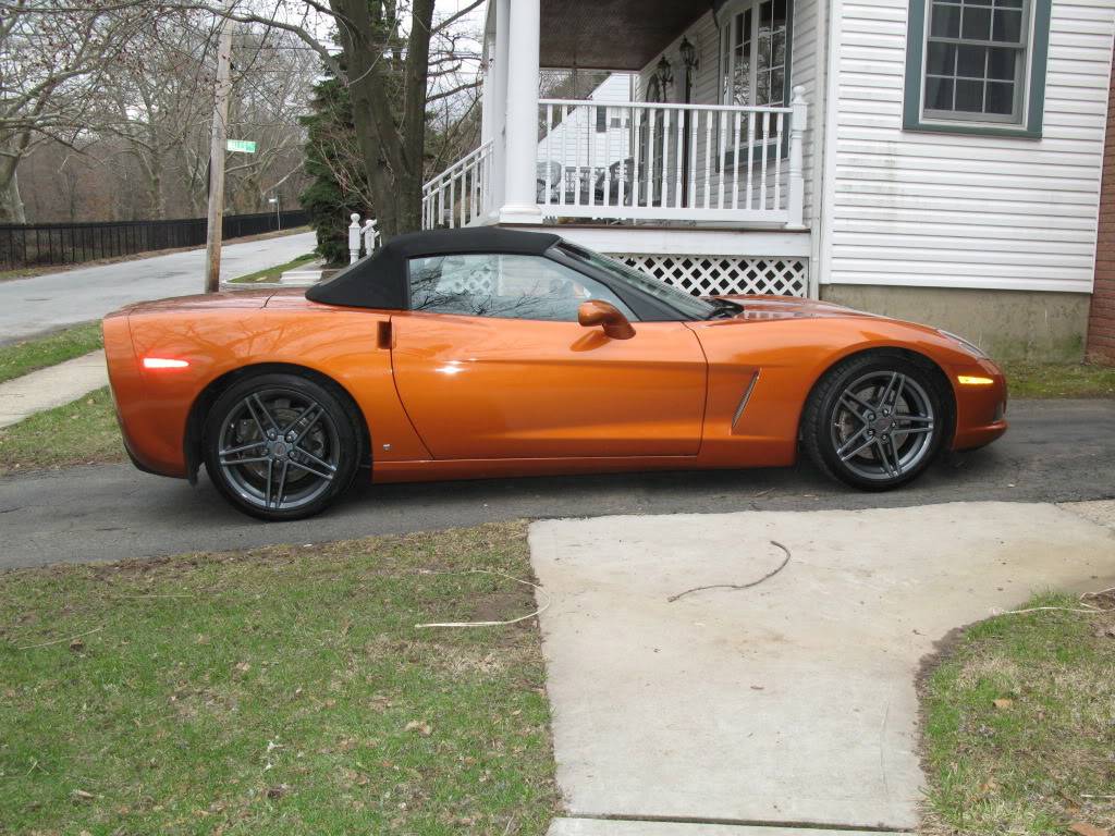 Vette.jpg