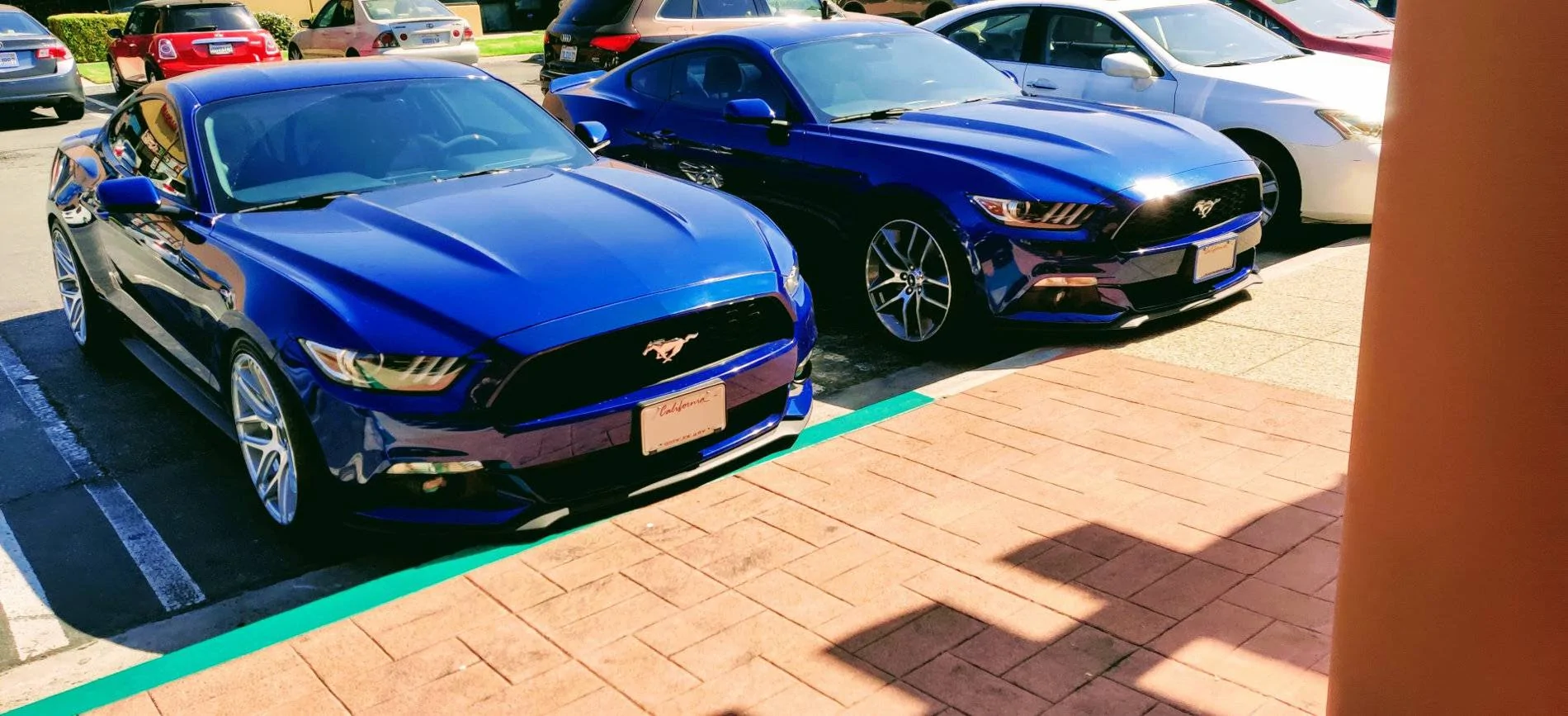 IMG_20191014_125927.webp