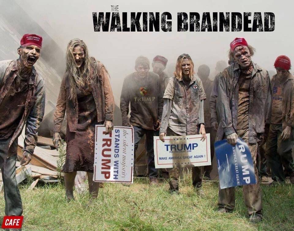 Walking Brain Dead.jpg