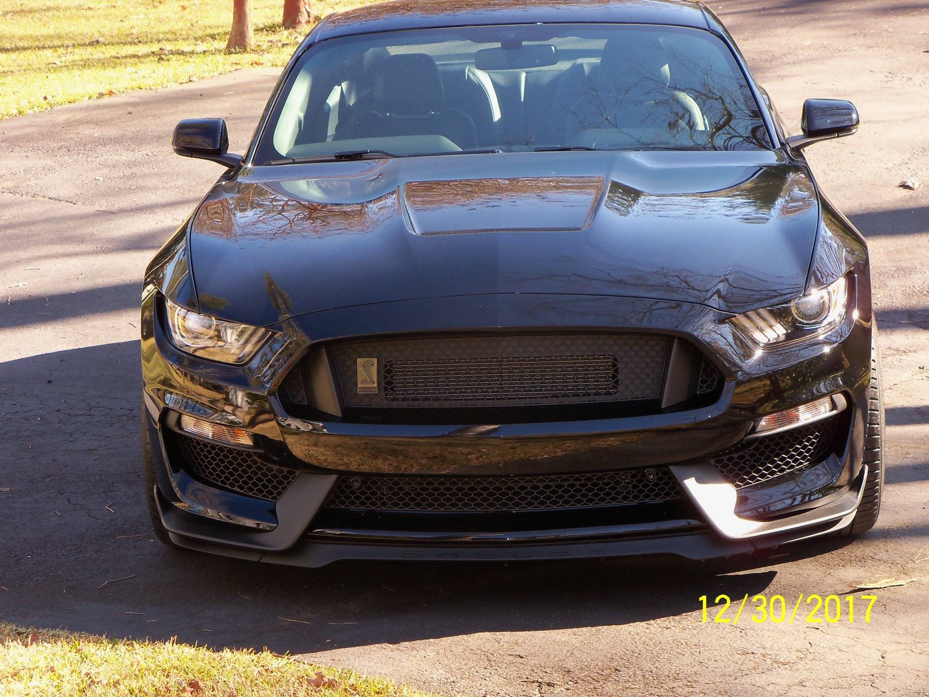 New Wheels & Tires on Shelby (6).JPG