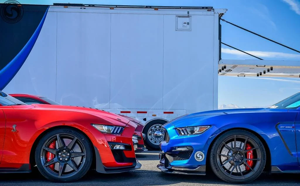 SV801 GT350R & GT500 (1 of 1).webp