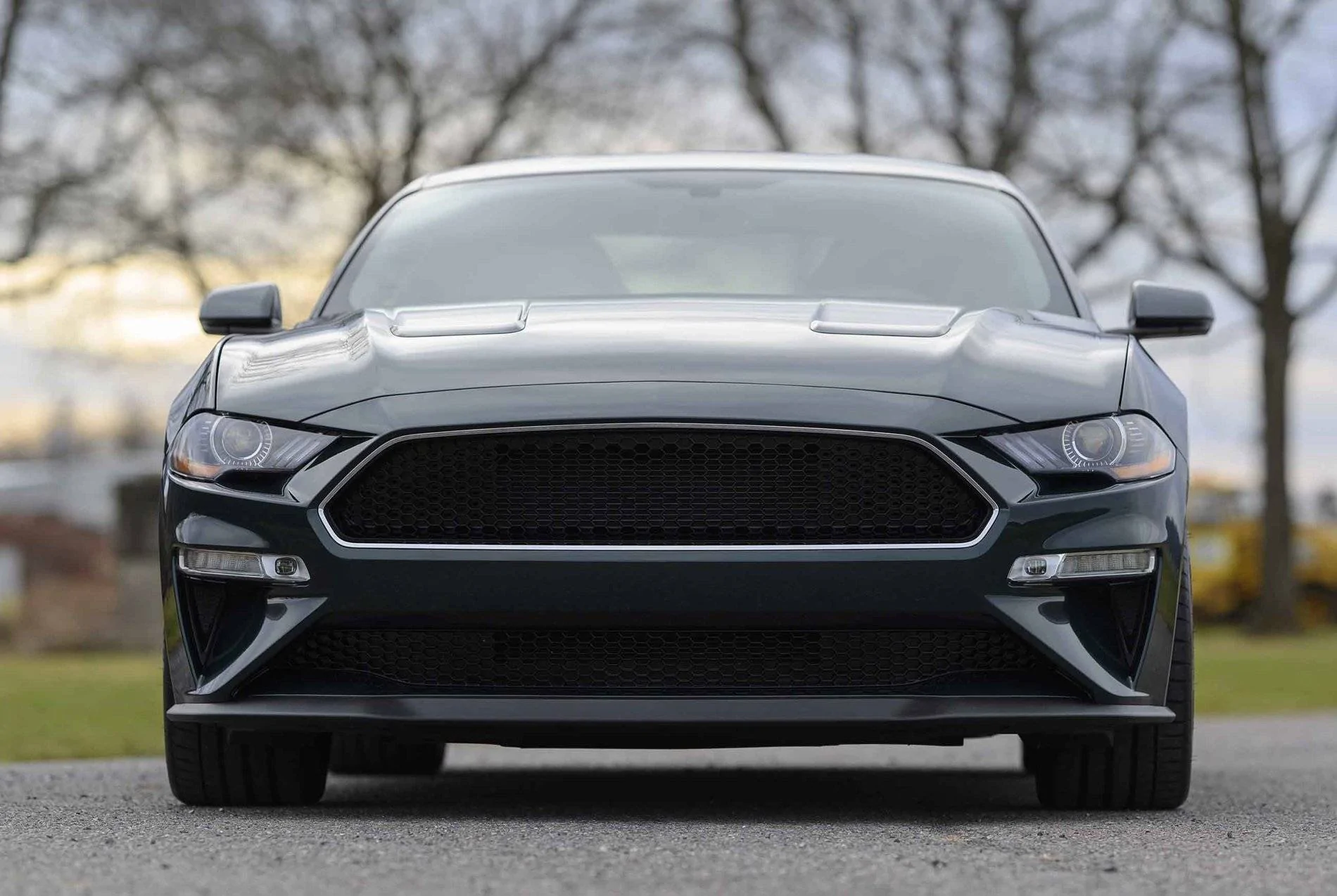 Bullitt Front View sm.webp