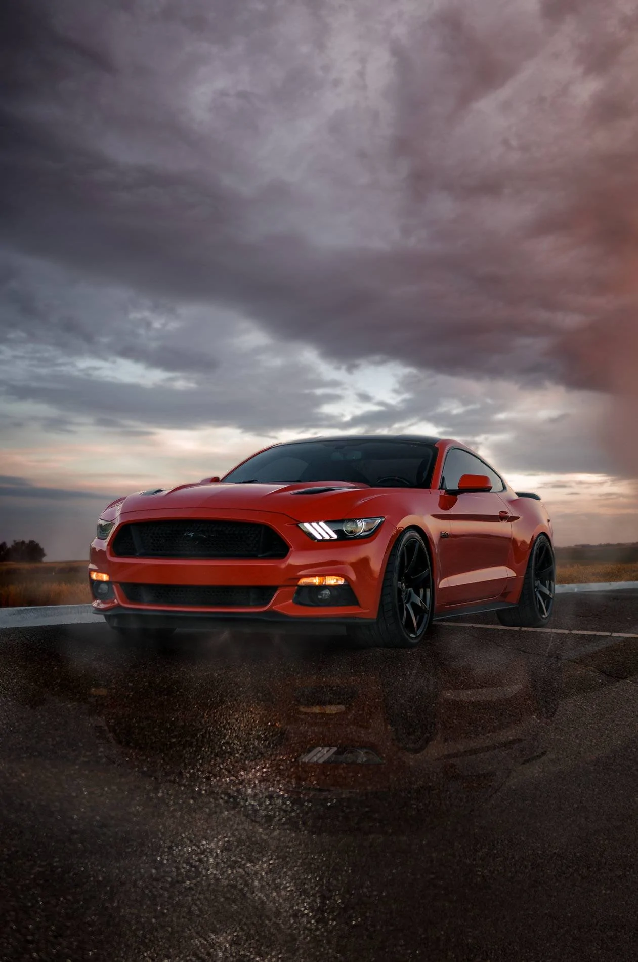 DSC03115Mustang6g.webp