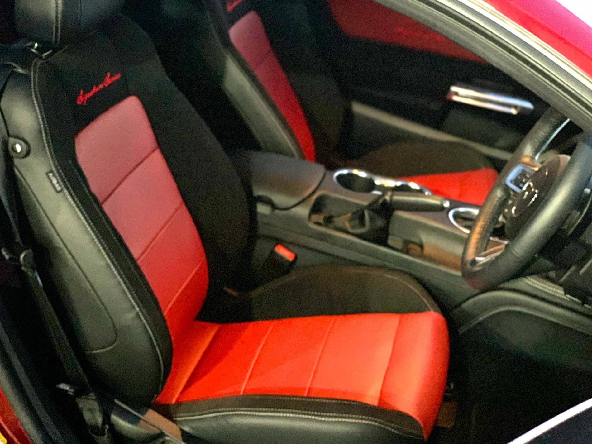 new interior.jpg